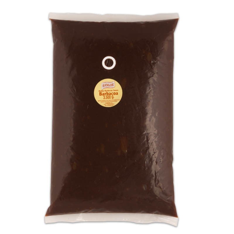 Salsa Barbacoa pouch/bolsa 3.500 g