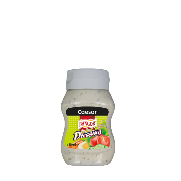 Caesar Dressing PET bottle 250 ml