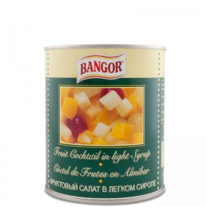 Cocktail de Fruits au Sirop Léger boîte 1 kg